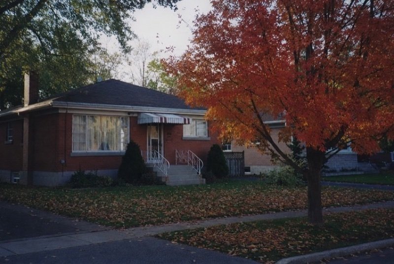 A modest post-war red-brick bungalow with an awning over the door and a red maple in autumn colour, leaves on the lawn